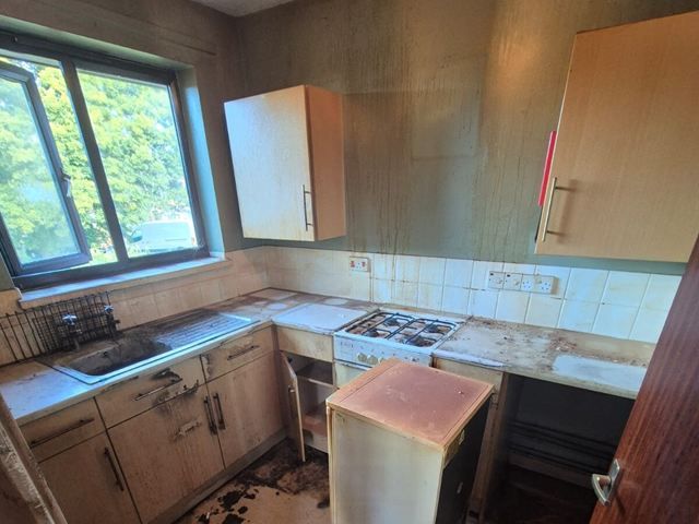 Before Cleaning
