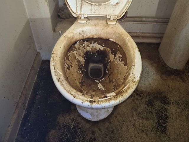 Before Cleaning
